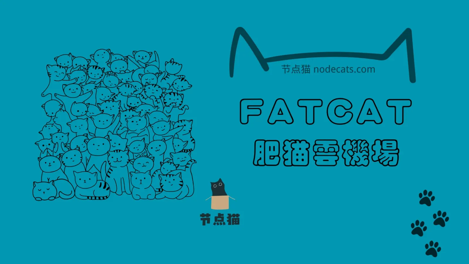 fatcat 肥猫云机场