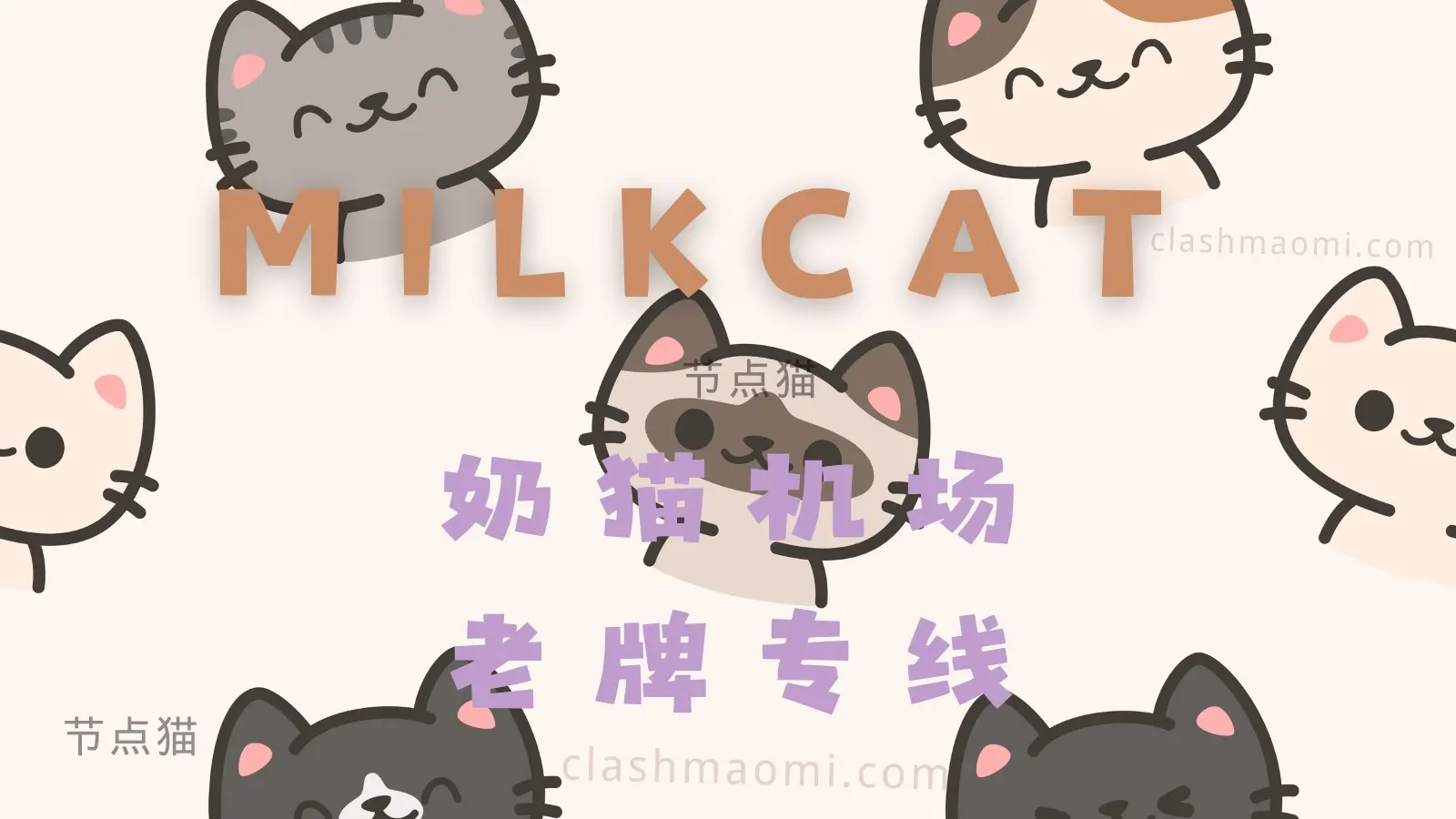 MILKCAT 机场测评报告-节点猫