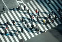 中转节点阵亡倒计时：2026 跨境网络大洗牌，外贸人如何守住“生命线”？-节点猫
